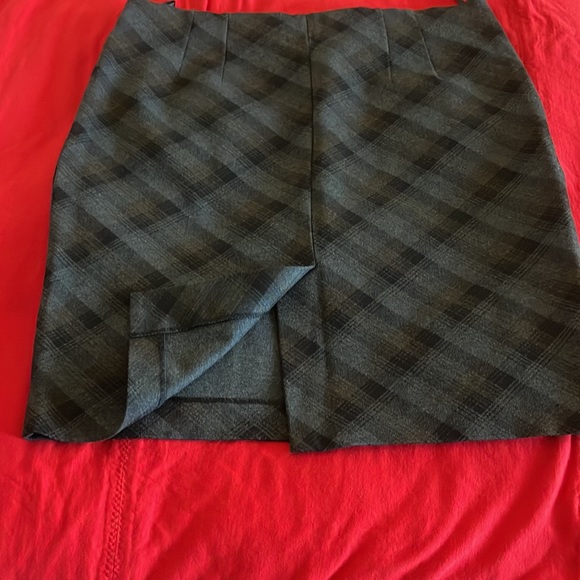 Amenda and Chelsea pull on skirt. Plus size 14. - Picture 3 of 7